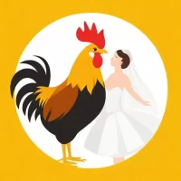 属鸡跟什么属相适合结婚,属鸡婚姻矛盾生肖化解