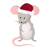 麻将方位选择全攻略:2月29日必赢坐向详解