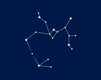 射手座今日运势75日(20240610)