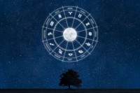 十二星座最新运势今日运势(2025年2月2日星象指南)