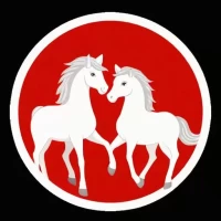 属马和属马相克怎么办：属马和属马相克怎么办呢