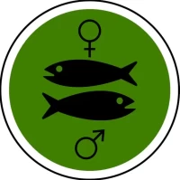 双鱼座女今日运势全解析：精准查询每日运程