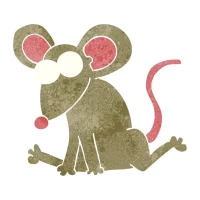 属鼠人今日运势解析:财运提升的关键时刻