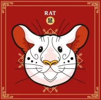 十二生肖每日运势查询:精准预测财运爱情走势