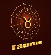 金牛座今日运势解析:4个关键点助你把握财富机遇