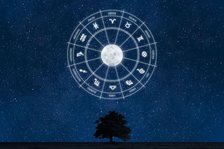 十二星座最新运势今日运势（2025年2月2日星象指南）