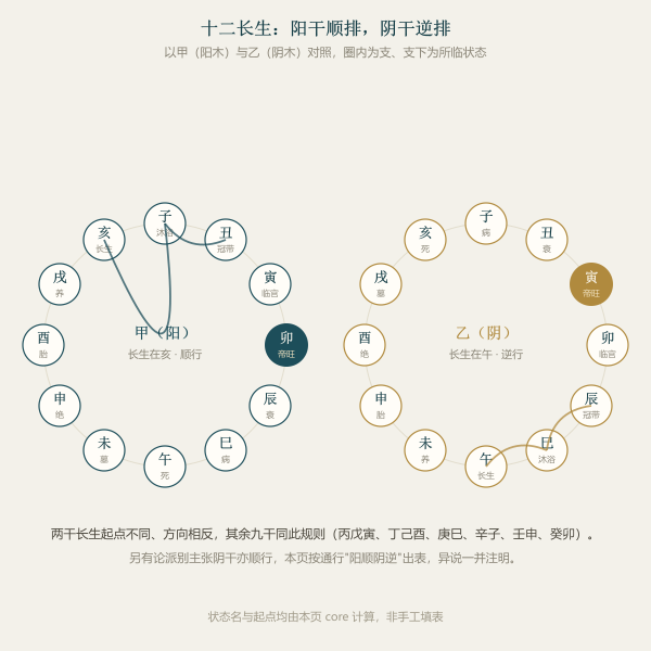 十二长生阳顺阴逆:以甲、乙两干为例的顺逆排布差异