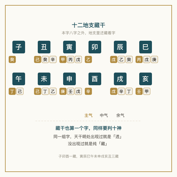 地支藏干分布图：子癸、丑己癸辛、寅甲丙戊、卯乙、辰戊乙癸、巳丙戊庚、午丁己、未己丁乙、申庚壬戊、酉辛、戌戊辛丁、亥壬甲