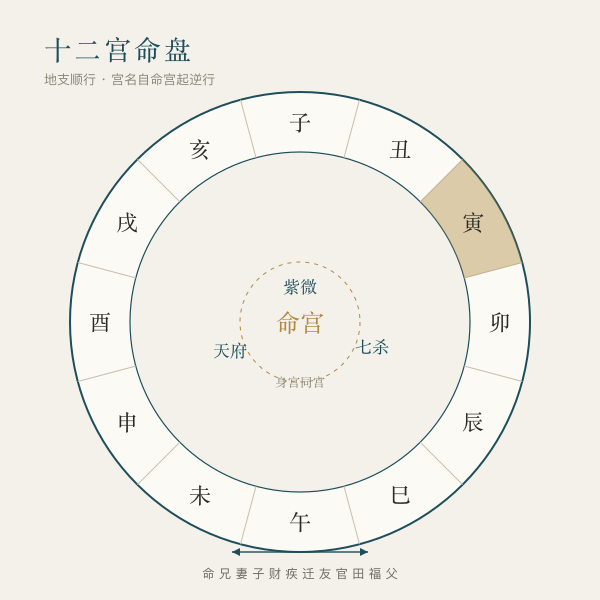 紫微十二宫地支与宫名排布图